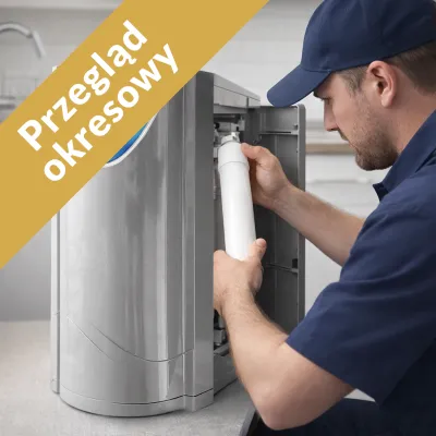 Przegląd okresowy rewitalizatora wody z wymianą filtrów