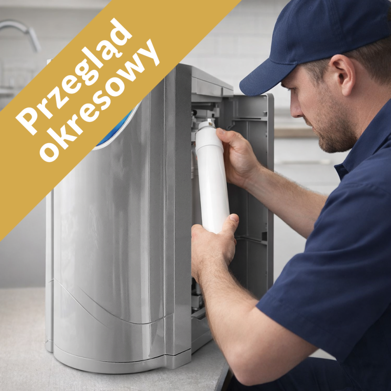 Przegląd okresowy rewitalizatora wody z wymianą filtrów
